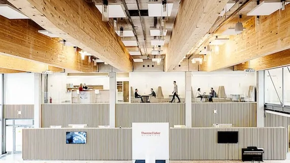 What does it look like in the company?