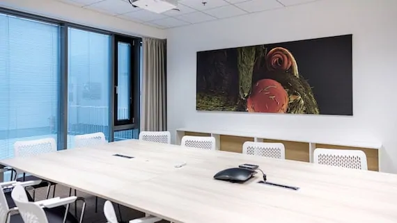 What does it look like in the company?