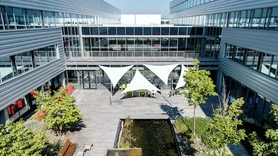 What does it look like in the company?