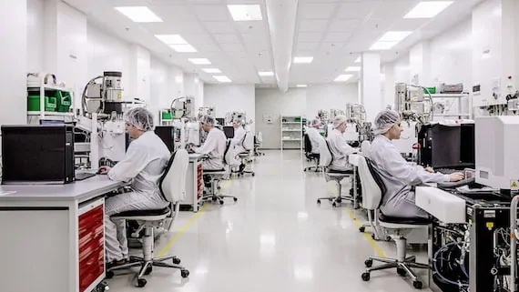 What does it look like in the company?
