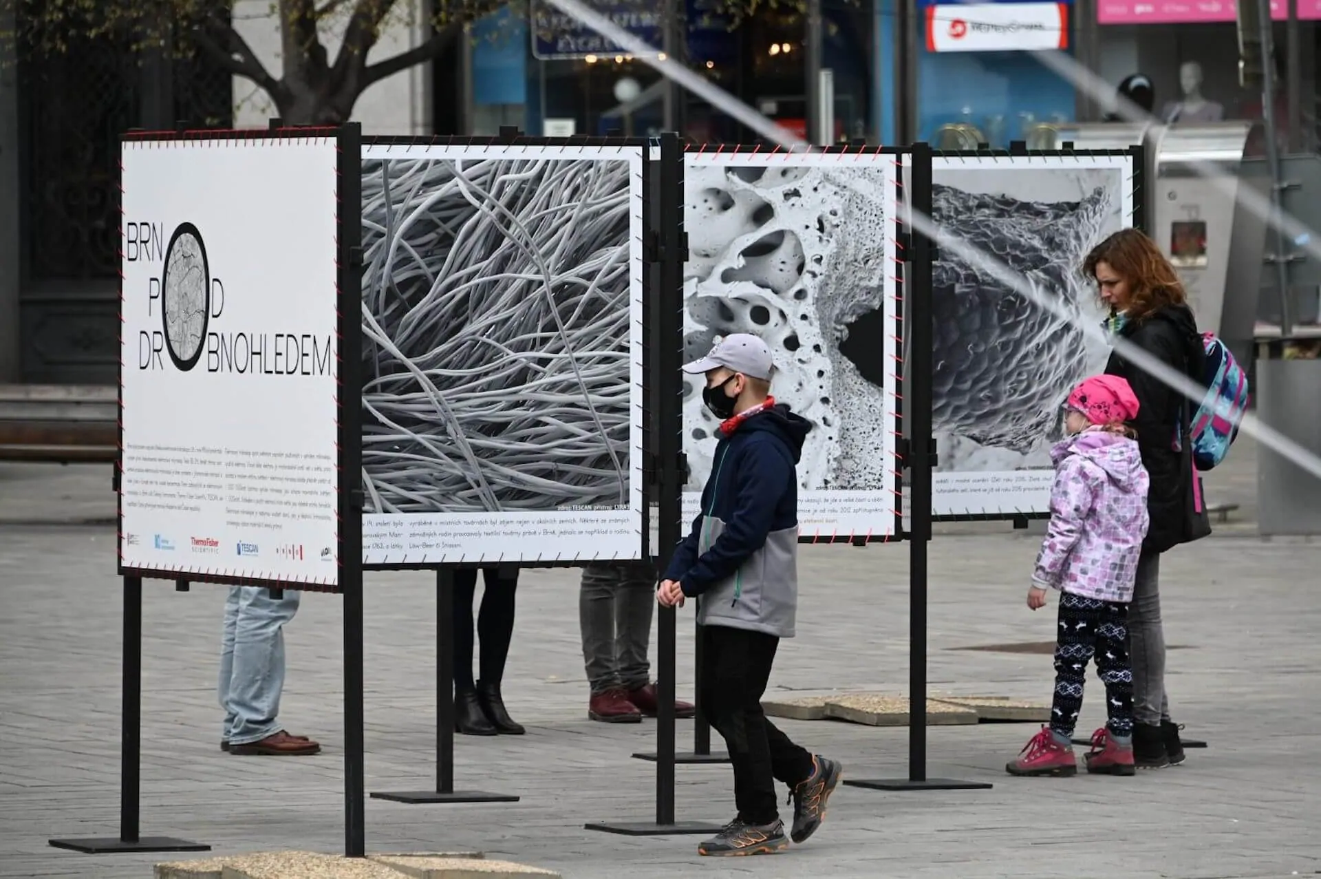 Career Thermo Fisher Scientific