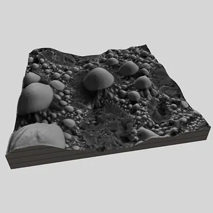 Image processing, 3D image reconstruction, pattern recognition + application of neural networks and machine learning